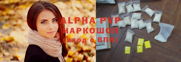 сатива Беломорск