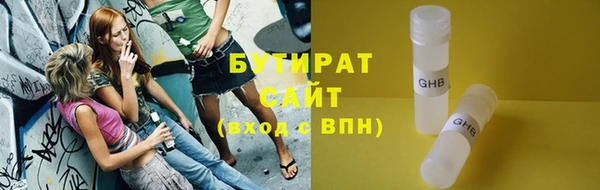 сатива Беломорск
