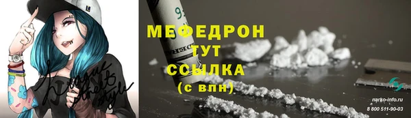 сатива Беломорск