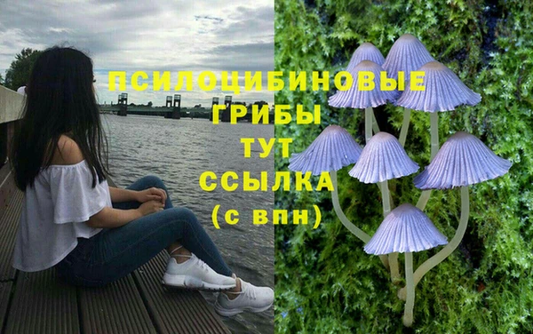 бутират Белоозёрский