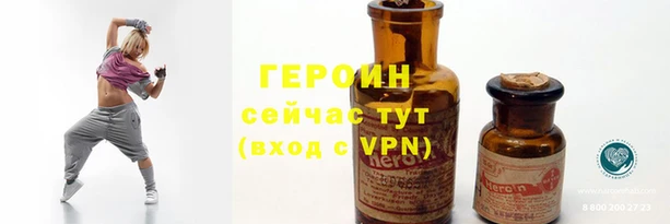 сатива Беломорск