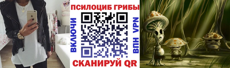 Псилоцибиновые грибы Cubensis  OMG ссылки  дарк нет Telegram  Навашино 